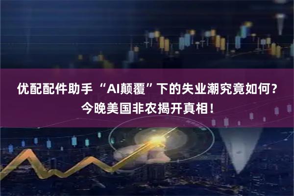 优配配件助手 “AI颠覆”下的失业潮究竟如何？今晚美国非农揭开真相！